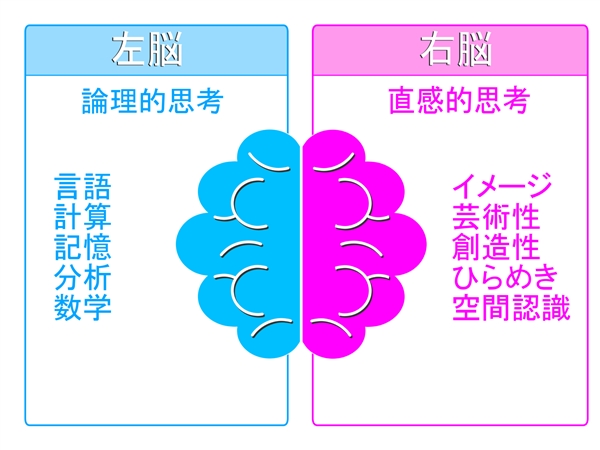 白髪が生える場所によって意味があるの 体調不良やストレスでの違い